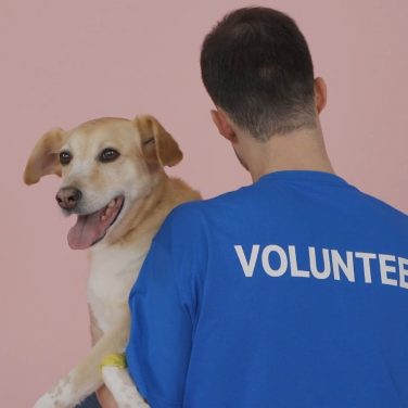 pexels-mikhail-nilov-7474425-pnm2s0k9xj8e6b302n7si7vj7f93ar353oqqv0x92o